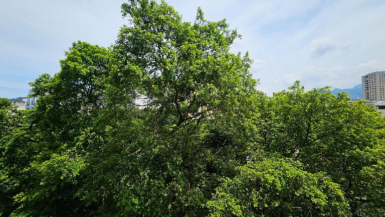 AconchegoMaracanã: 3 qts (1 esc); vaga na garagem!