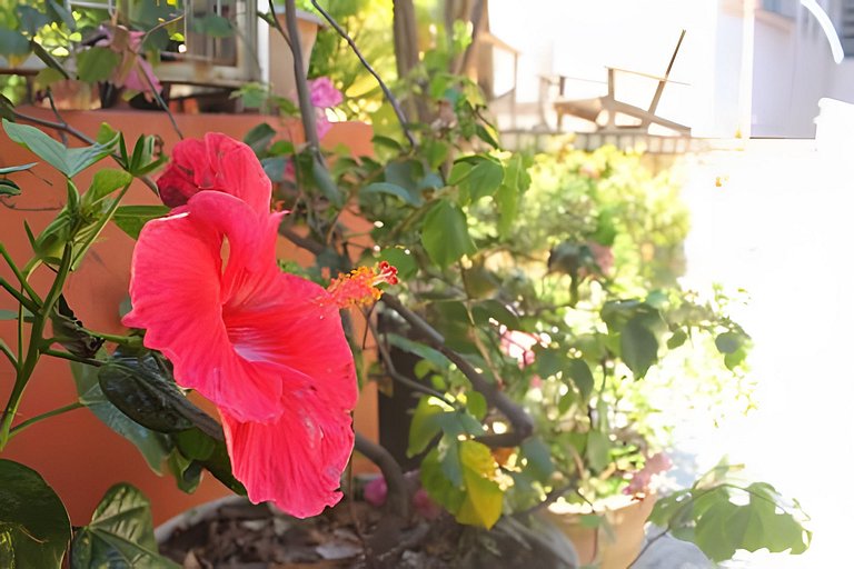 Varanda do Conde: quarto, sala e metrô na porta.