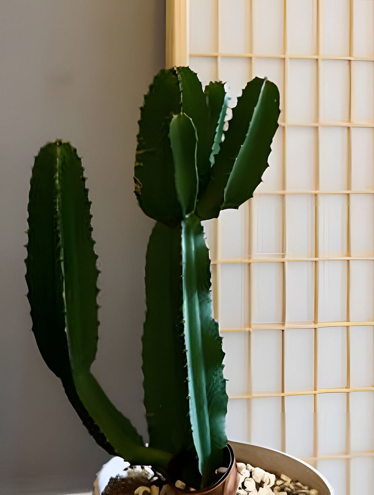 Ipanema Hype: localização, modernidade e conforto!